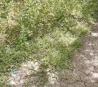 Desi step aunty out door sex video