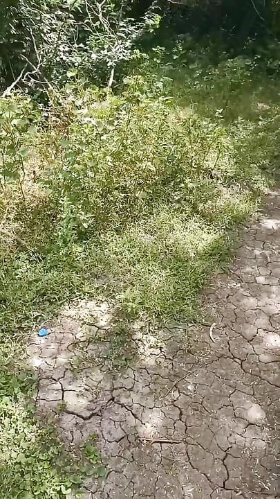 Desi step aunty out door sex video